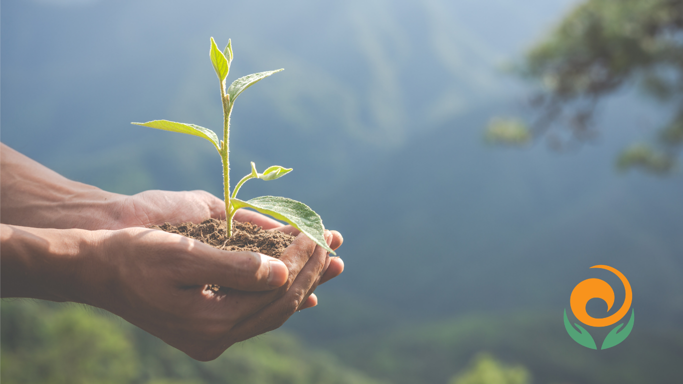 Fundo Climático da Região Metropolitana de BH: apoio para quem age pelo território