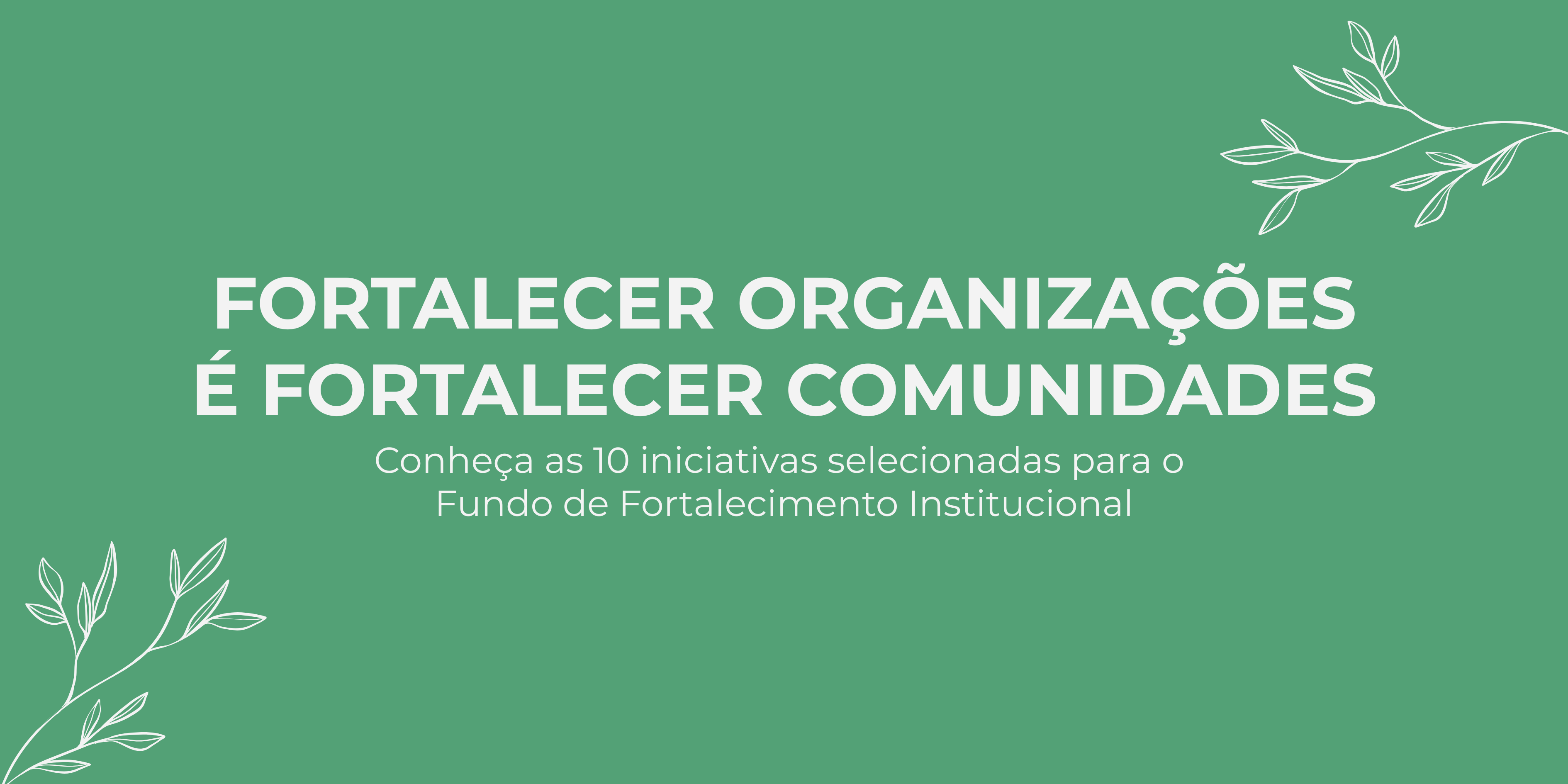 Conheça as 10 iniciativas selecionadas para o Fundo de Fortalecimento Institucional